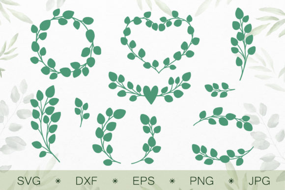 Eucalyptus Graphics and Illustrations for Brand Design