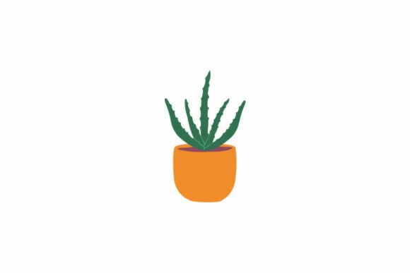 Home Plant Graphics and Illustrations Review