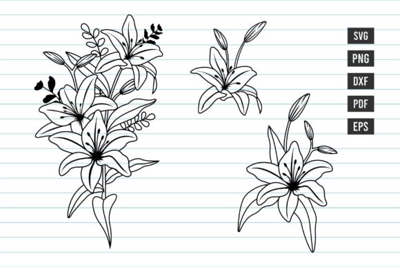 Lily Svg, Hand Drawn Flower Svg, Flower Graphics and Illustrations Review