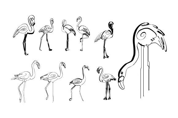 Line Abstract Flamingo Boho Graphics and Illustrations Review