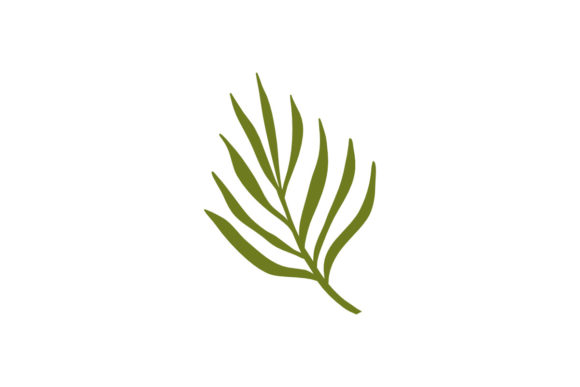 Organic Tropical Leaves Element: A Review for Graphics and Illustrations