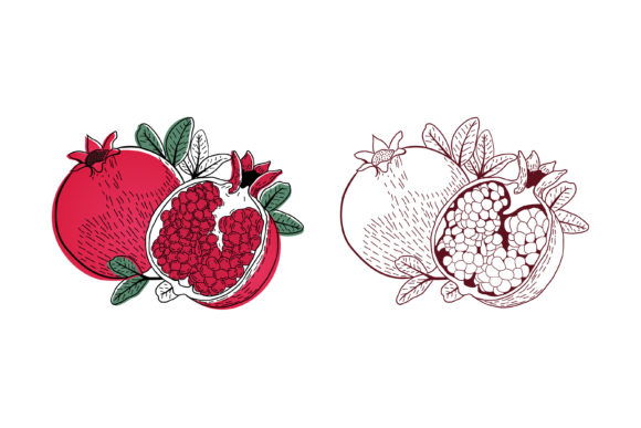 Review: Illustration Delima Retro Style