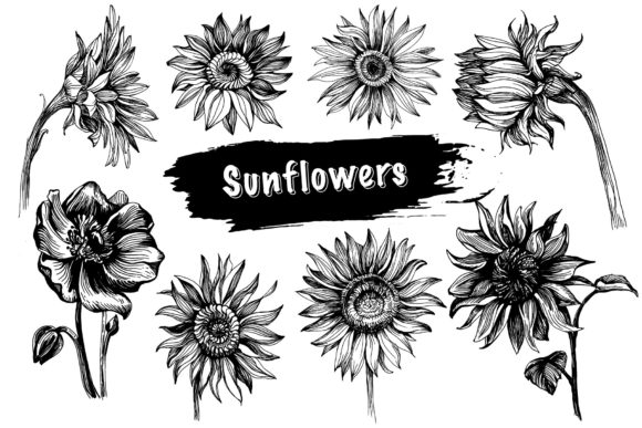 Sunflower Bundle: Fresh Graphics and Illustrations for Blog Design