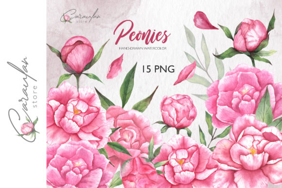 Watercolor Peonies Clipart, Pink Peony
